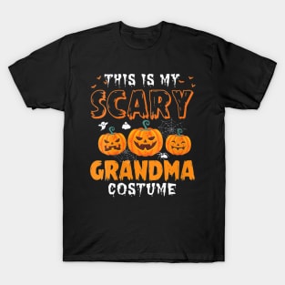 Womens Funny This Is My Scary Grandma Halloween Costume Party Shirt T-Shirt